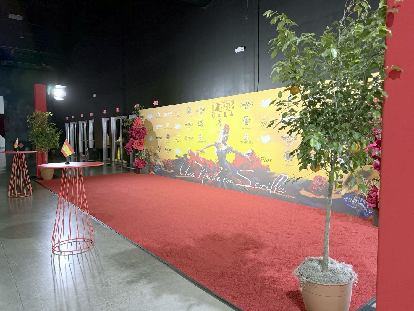 The Little Lighthouse Foundation Hearts and Stars Gala red carpet and step and repeat
